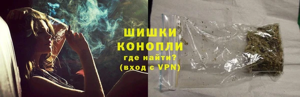 индика Горняк