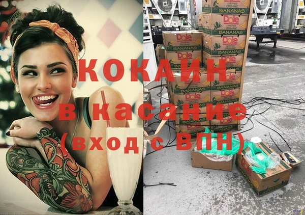 индика Горняк