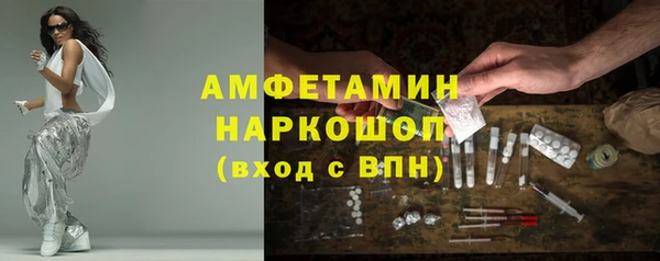 индика Горняк