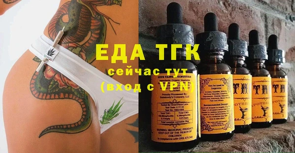 индика Горняк