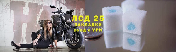 индика Горняк