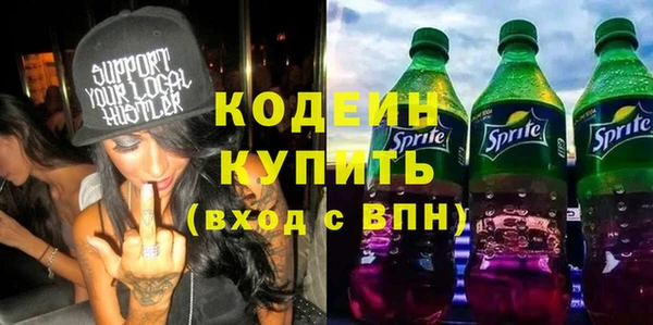 индика Горняк
