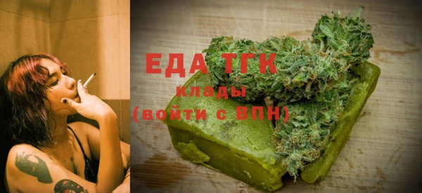 индика Горняк