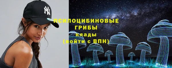 шишки Горнозаводск