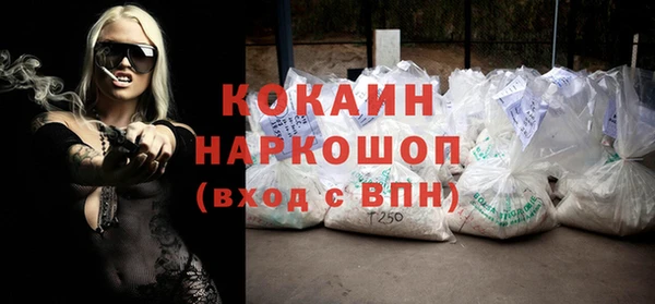 индика Горняк